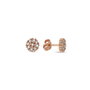 Heliophilia Silver Pendientes de Plata de Ley 925 con Oro Rosa y Circón
